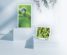 Sharp Launches New Advanced Color ePaper (ACeP) Displays