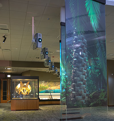 fieldmuseum-casestudy